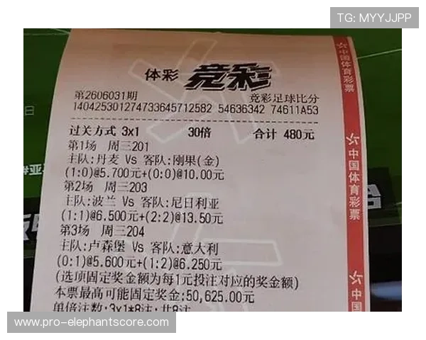 500足球即时比分竞彩网为足球爱好者提供全面的世界杯实时比分与赛事资讯