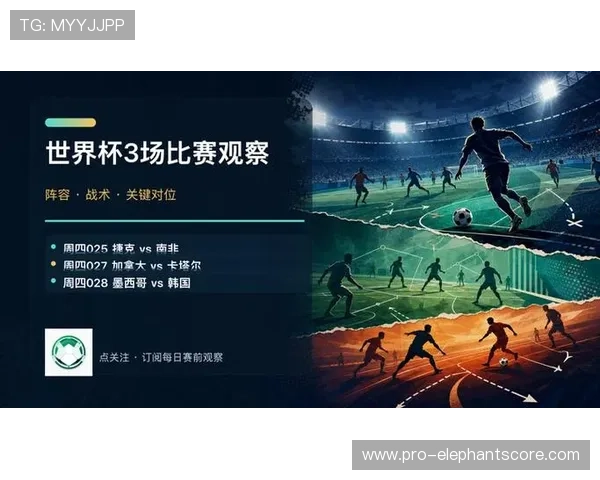 捷克队与南非队在世界杯A组的精彩对决全面分析与赛前预测