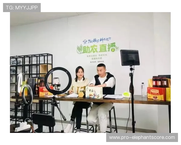 风驰直播官方旗舰店：专业直播带货平台，提供多样化商品和优质售后服务体验