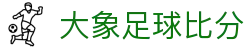 大象足球比分 - (中国)沈阳大象足球比分股份有限公司欢迎您